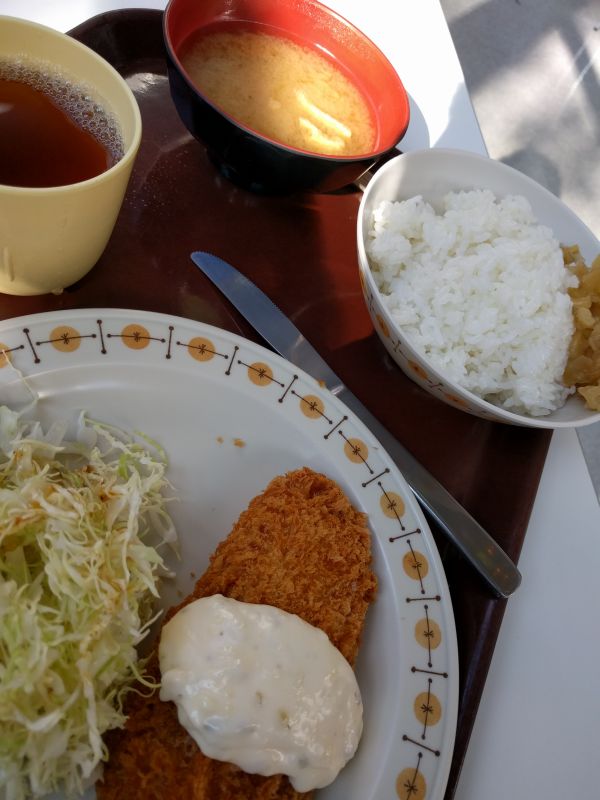 本日の昼食