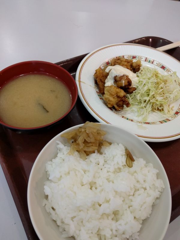 本日の昼食