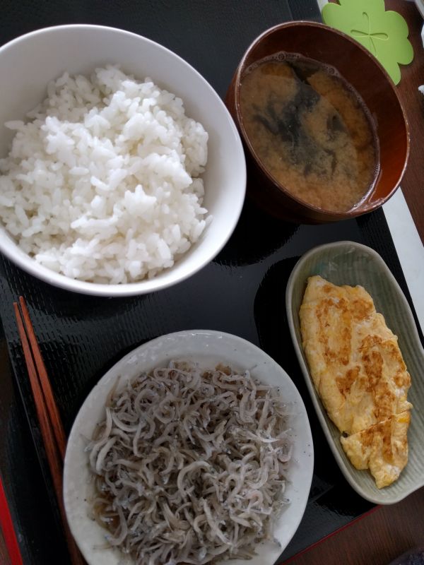 本日の朝食兼昼食