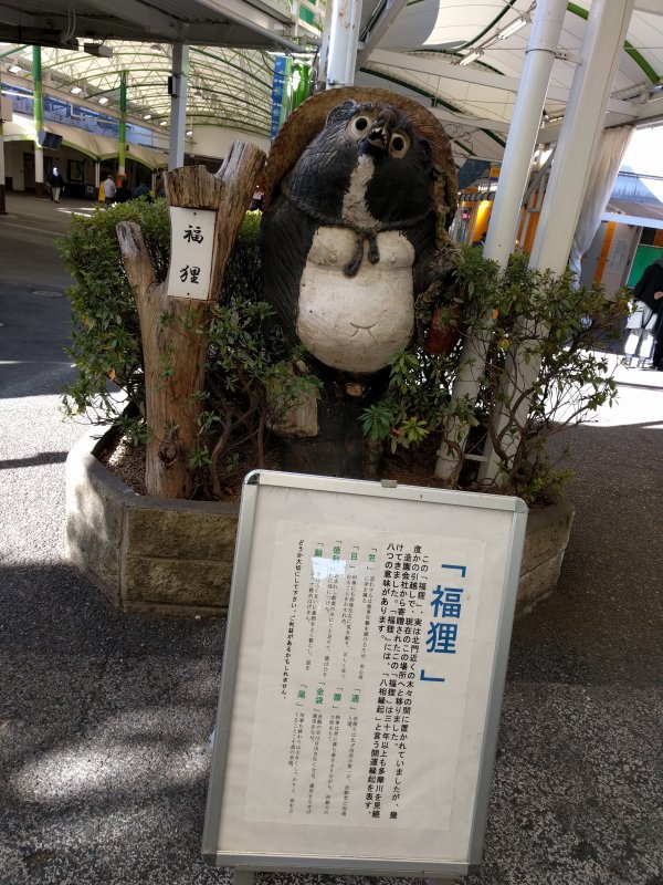福狸