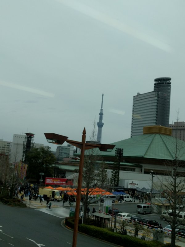 国技館とスカイツリー