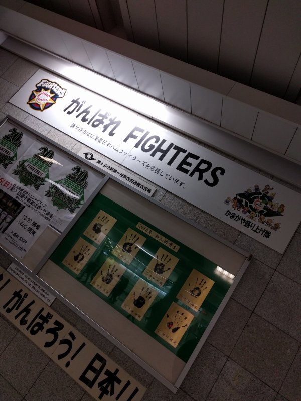 がんばれ FIGHTERS