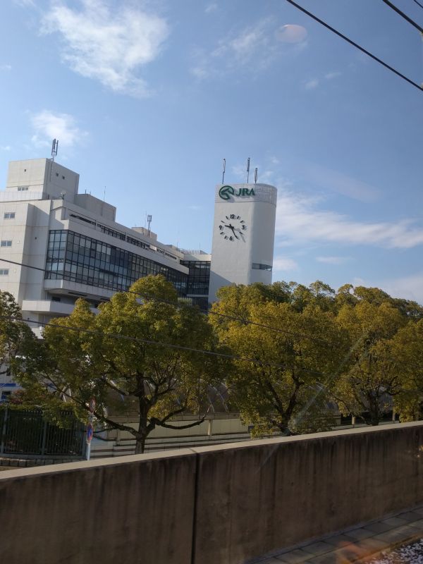 本日の京都競馬場