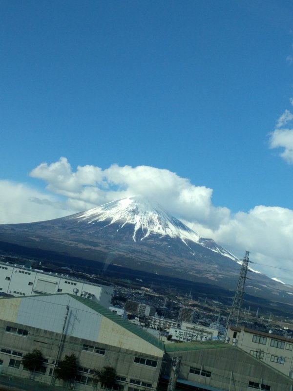 本日の富士山