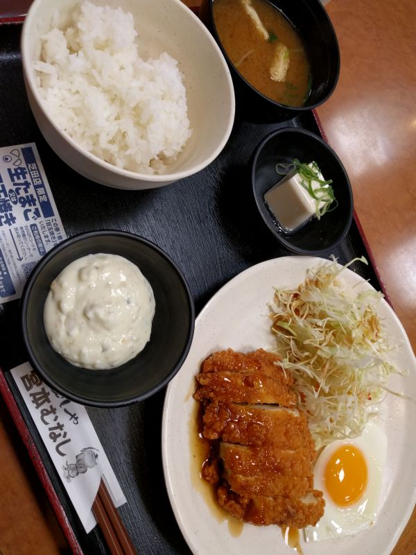 本日の夕食