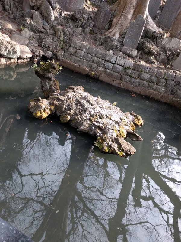 亀の池