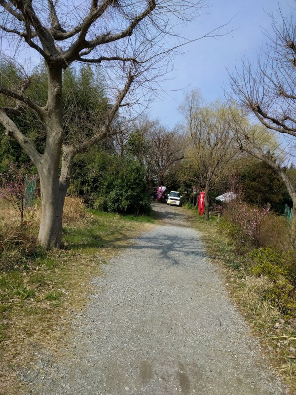 河川敷の道