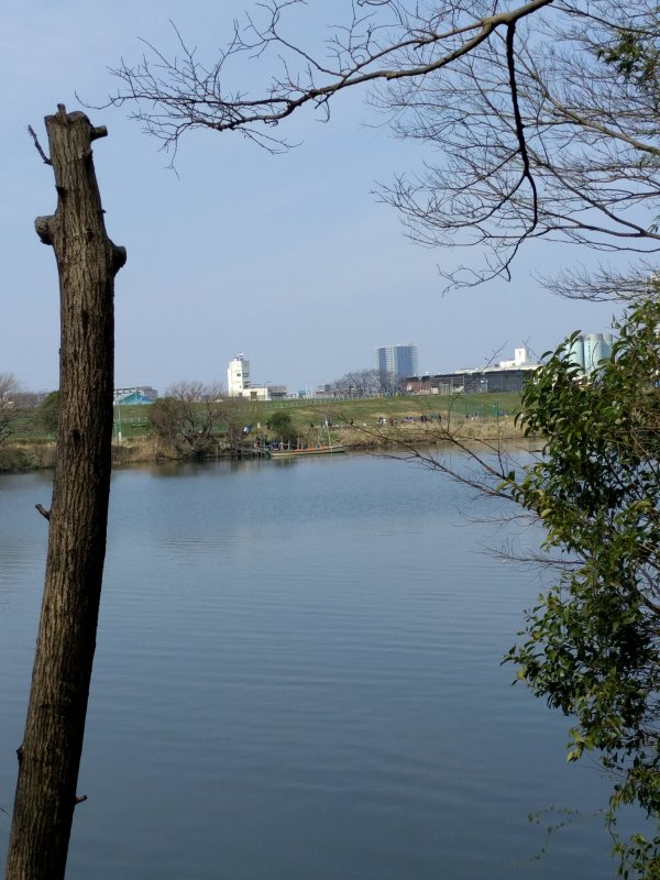 対岸の桟橋