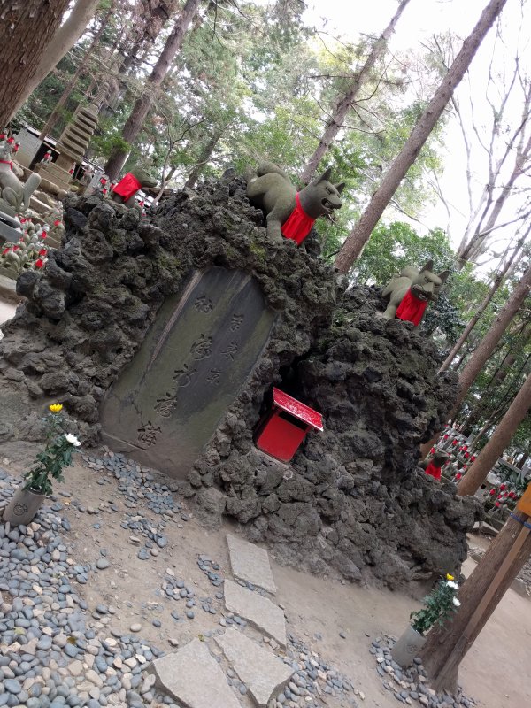 岩の隙間