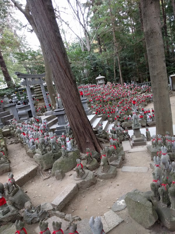 狐の向き２
