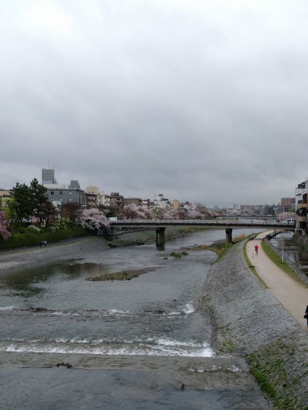 四条大橋からの風景