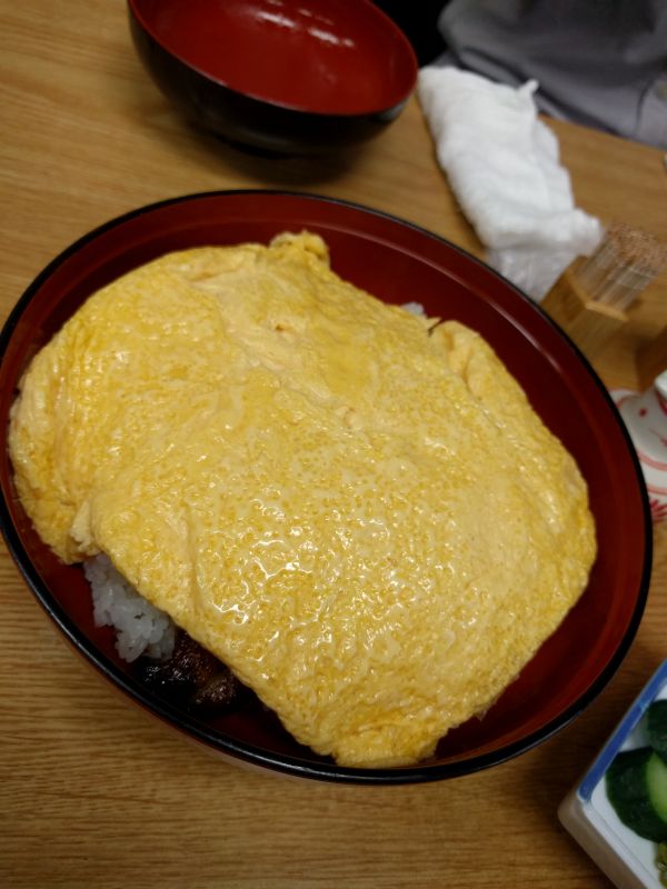 特のきんし丼