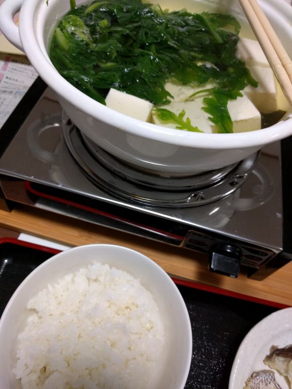 本日の夕食