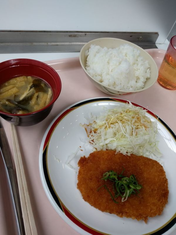 本日の昼食