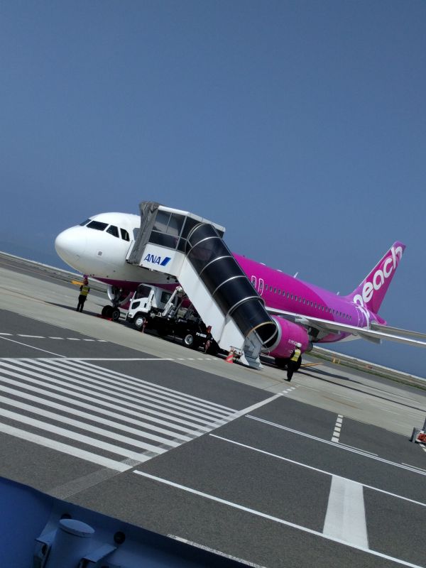 本日の飛行機