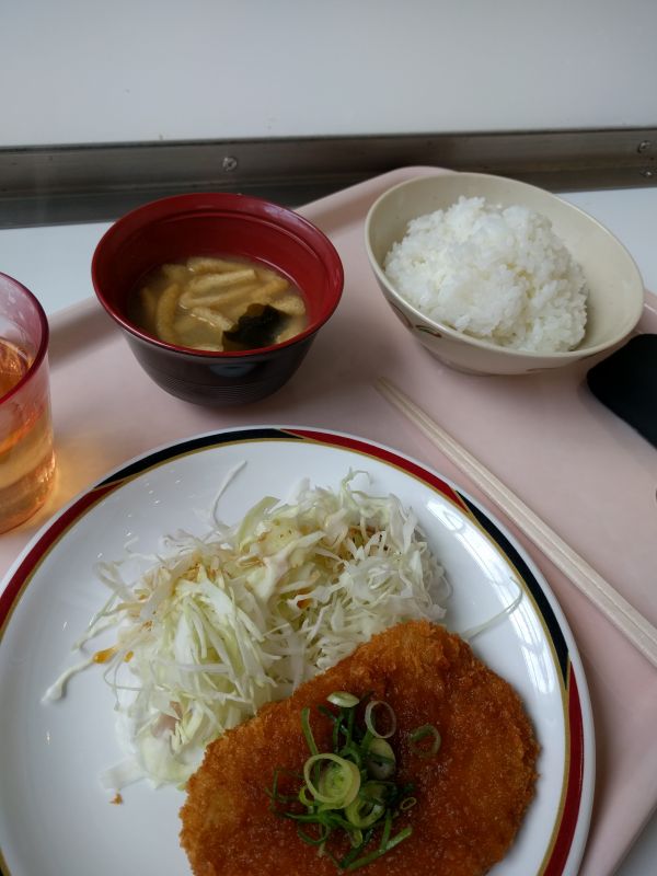 本日の昼食