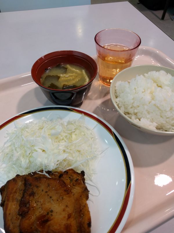 本日の昼食