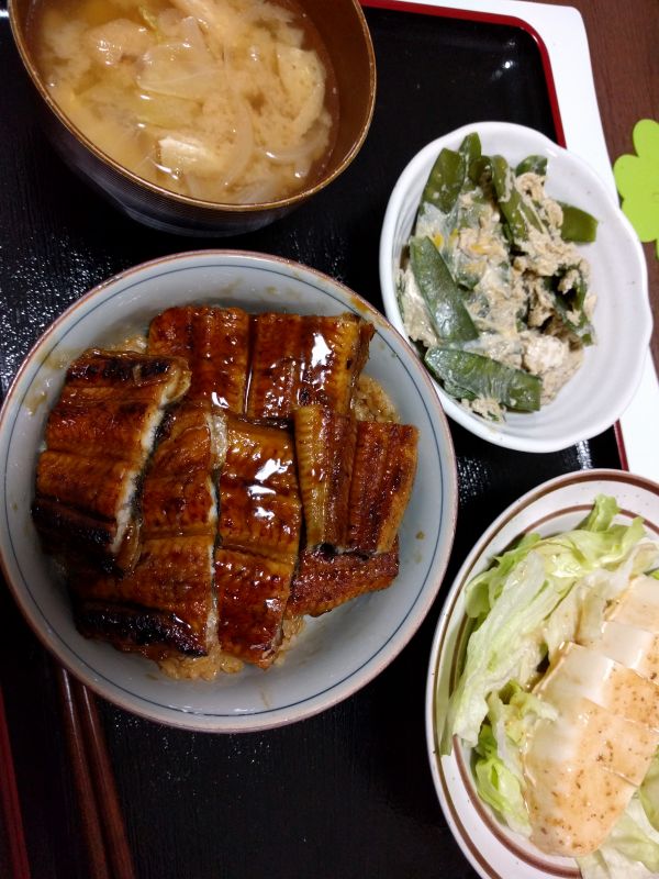 本日の夕食