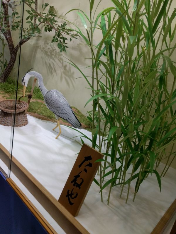 お菓子の展示
