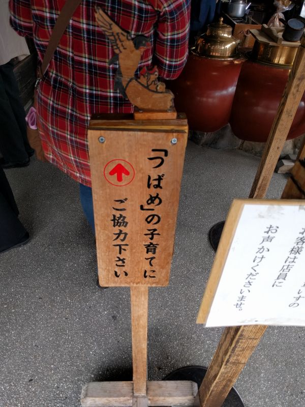 「つばめ」の子育てにご協力下さい