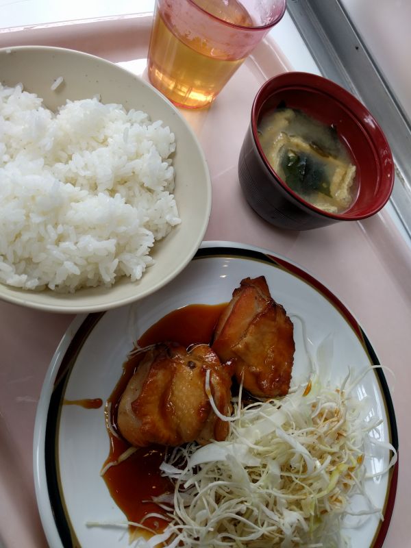 本日の昼食