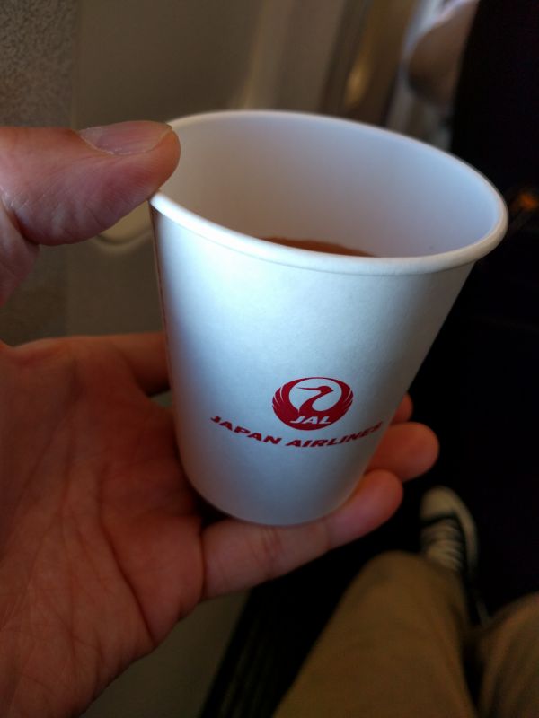 本日のドリンク