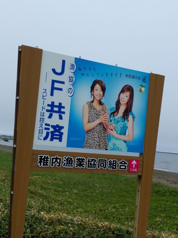 JF共済