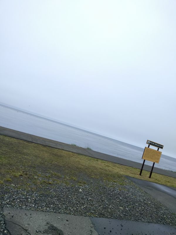 対岸までの距離