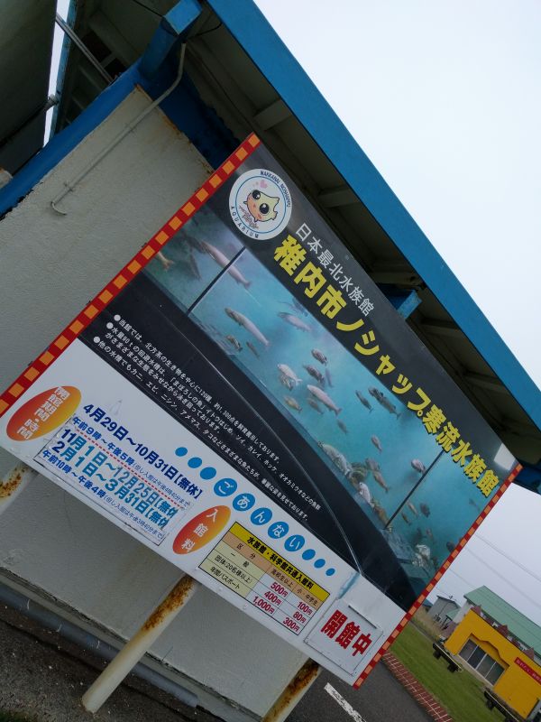 稚内市ノシャップ寒流水族館