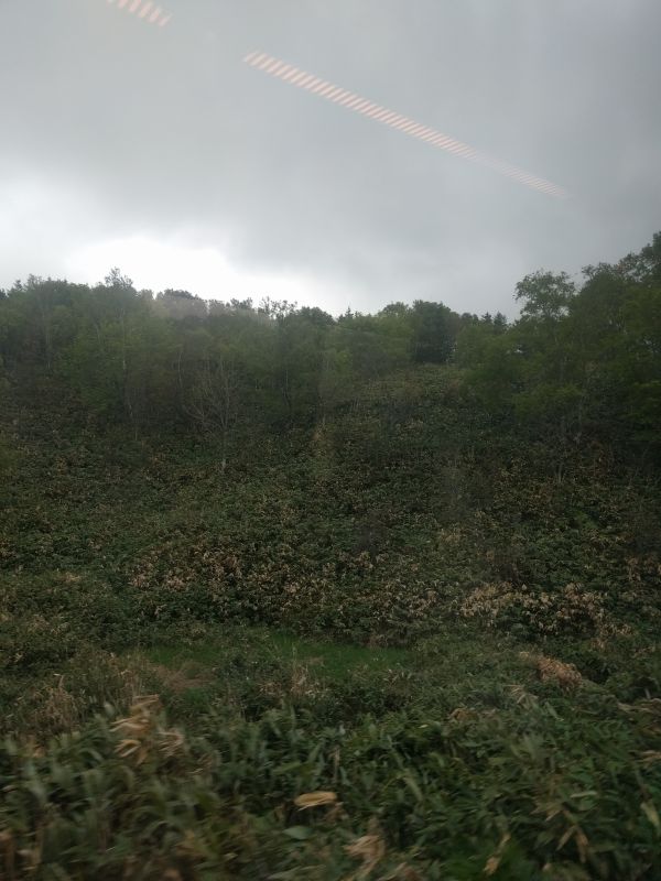 車窓風景