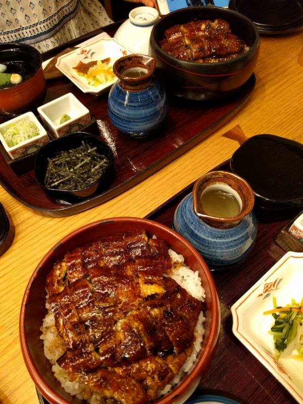 本日の夕食