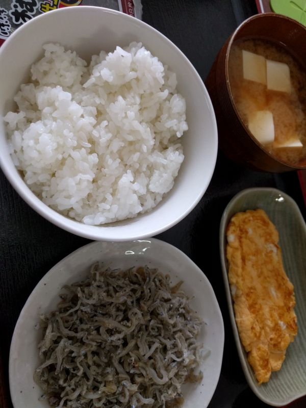 本日の朝食兼昼食