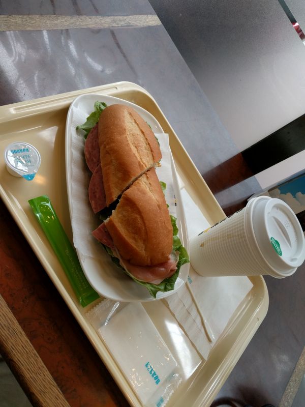 本日の昼食