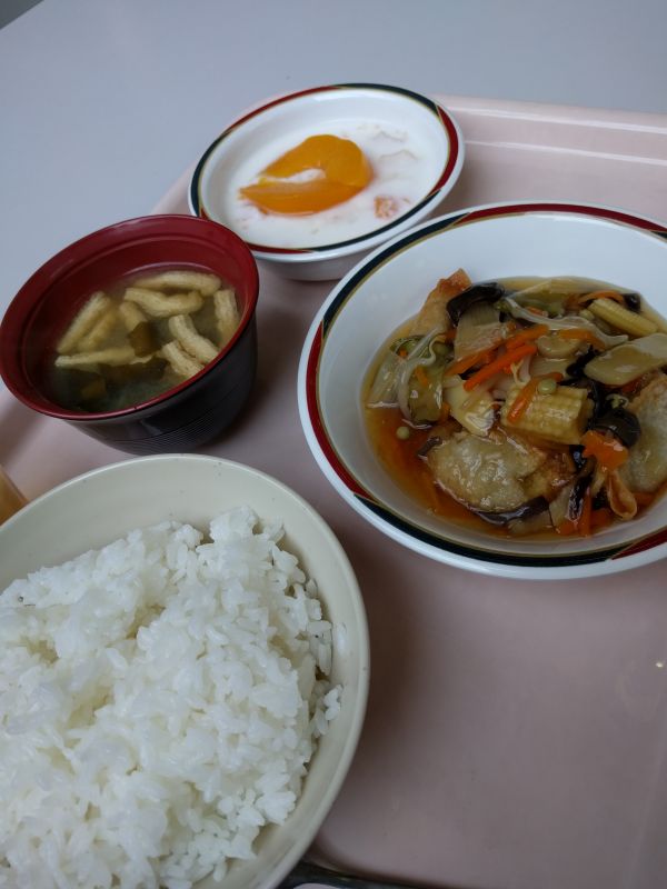 本日の昼食