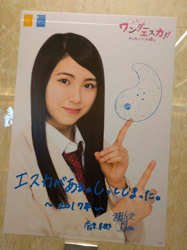ワンダーエスカ：菅原茉耶