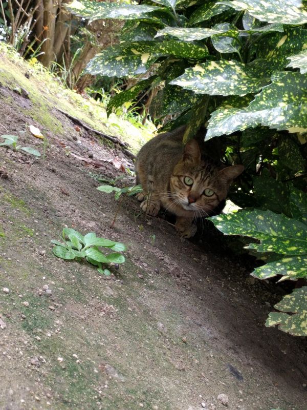 ビミョーな距離