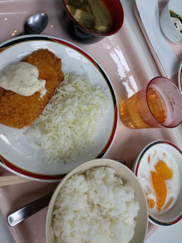 本日の昼食