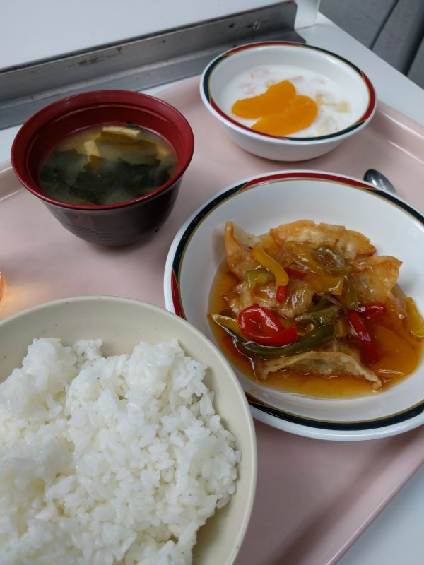 本日の昼食