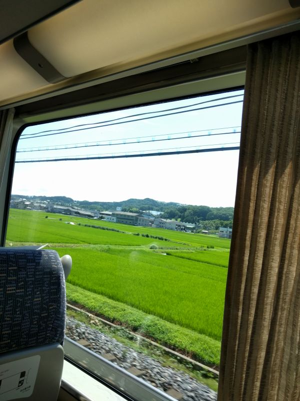 田んぼの風景