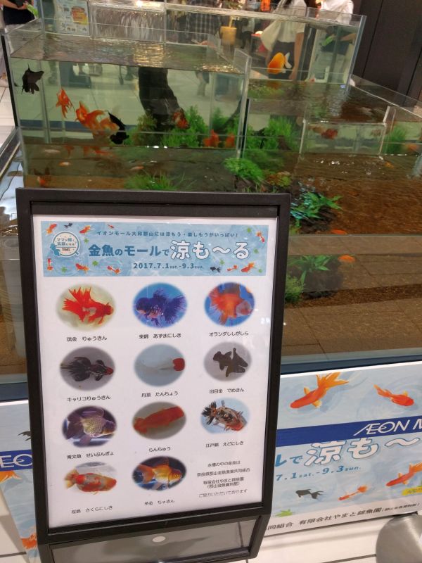 金魚のモールで涼もーる