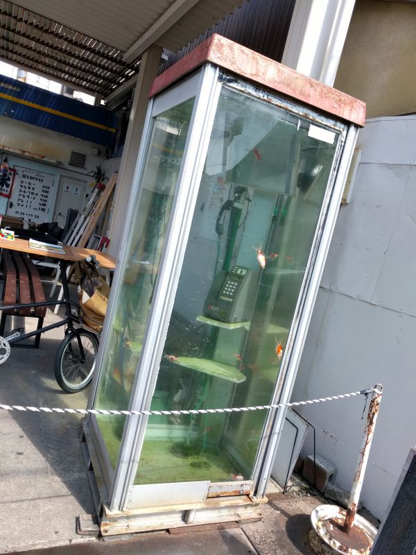 公衆電話ボックスの中に金魚