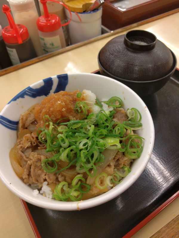 本日の夕食