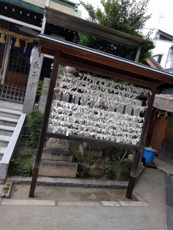 近所の神社の御神籤