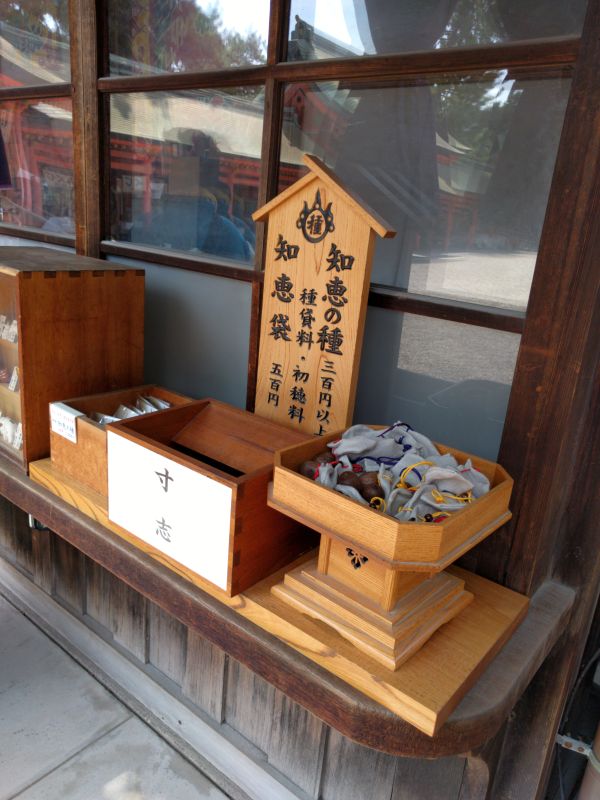 知恵の種
