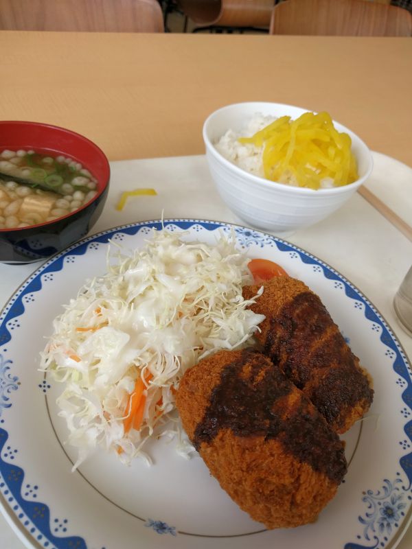 本日の昼食