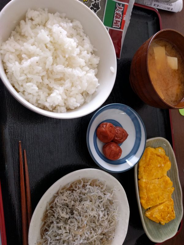 本日の朝食兼昼食