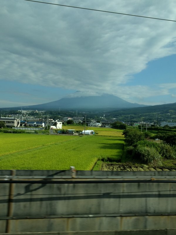 本日の富士山