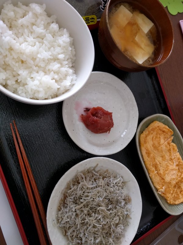 本日の朝食兼昼食