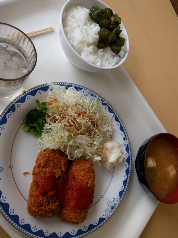 本日の昼食