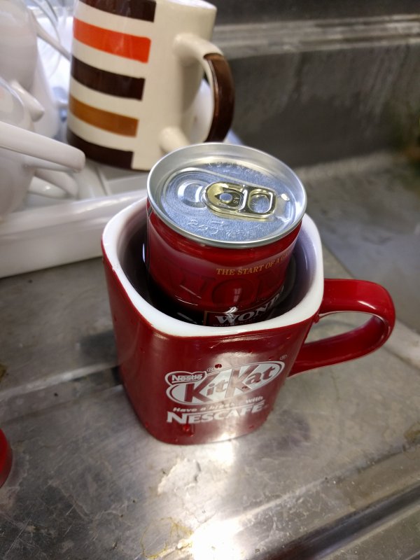 本日のコーヒー